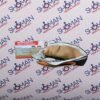 ⁦مساج الرقبة والاكتاف⁩ - الصورة ⁦2⁩
